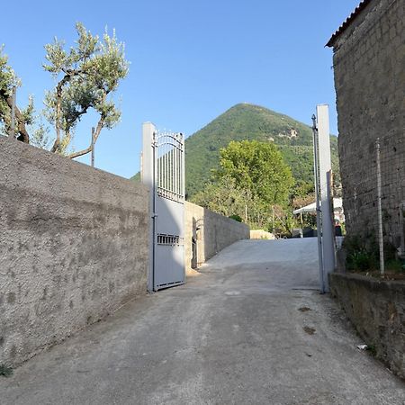 Brass Apartment Castellammare di Stabia Eksteriør bilde